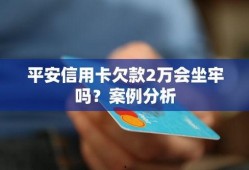 平安欠款爆料案例大全最新,揭秘金融借贷风险与维权之道