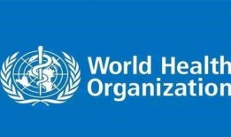 世卫组织最新爆料,揭示全球疫情新动态与挑战