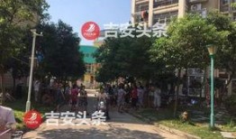 阳光新城最新爆料信息,揭秘神秘项目，未来城市生活新篇章