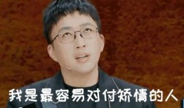 新瓜最新爆料女子打人,新瓜爆料揭示惊人真相