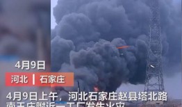 定州最新事件爆料视频播放,视频爆料揭示惊人真相