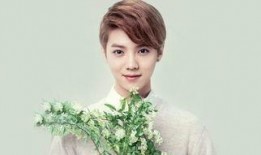 exo鹿晗最新爆料,EXO幕后故事与个人心路历程