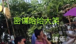 汕头金平区爆料案件最新,案情揭秘，真相渐浮水面