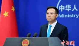 外交部最新爆料新闻,揭露国际阴谋，捍卫国家利益