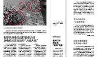 瑞安爆料新闻最新,揭秘娱乐圈最新劲爆事件